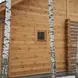 Планкен лиственница прямой 20*120*4000, сорт Классик (0,48м2)
